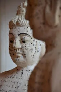 a statue of a man with Traditional Chinese Medicine Acupuncture points
